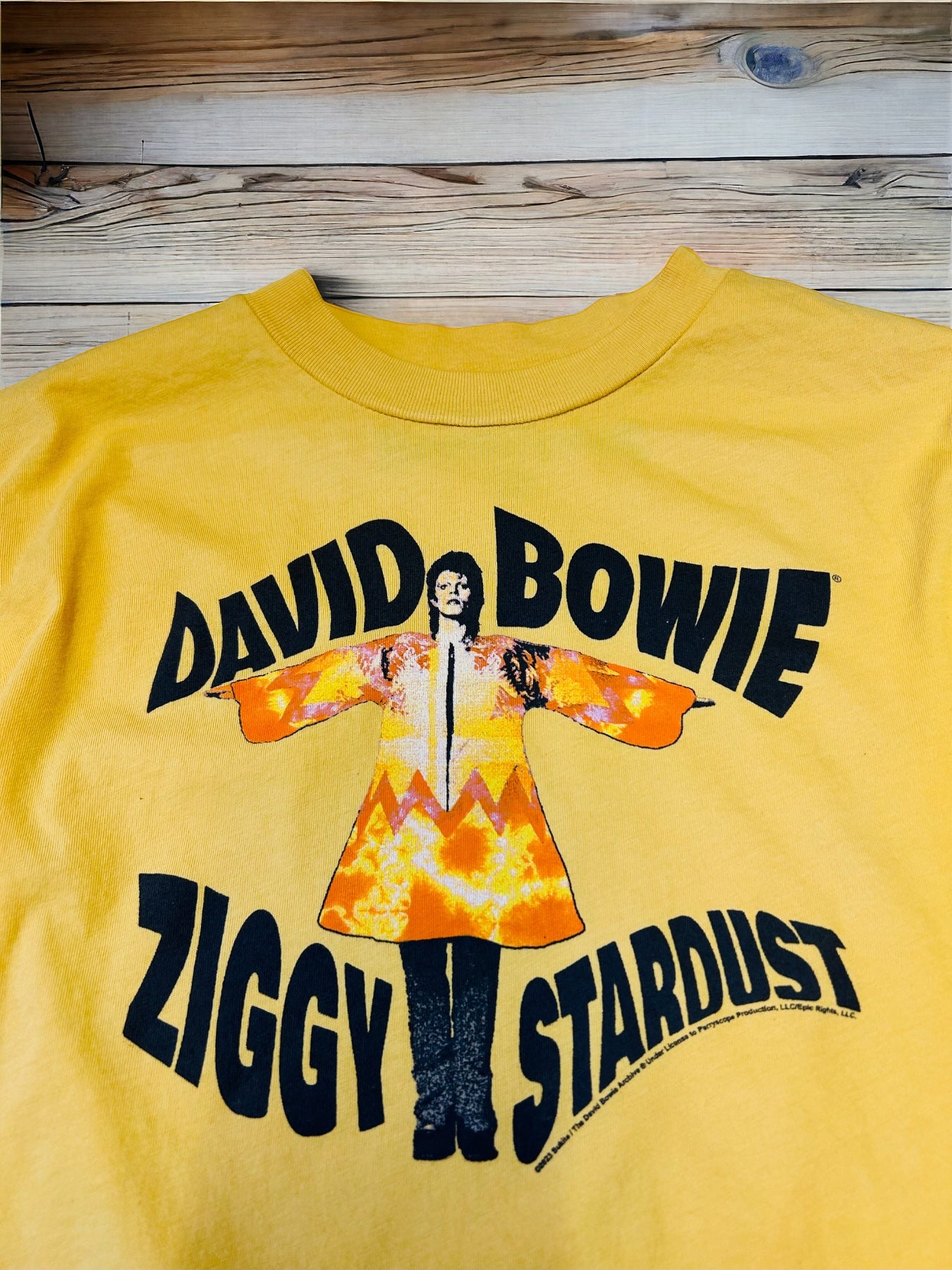 Rowdy Sprout - DAVID BOWIE Organic Cotton Ziggy Stardust Long Sleeve Kid's Tee