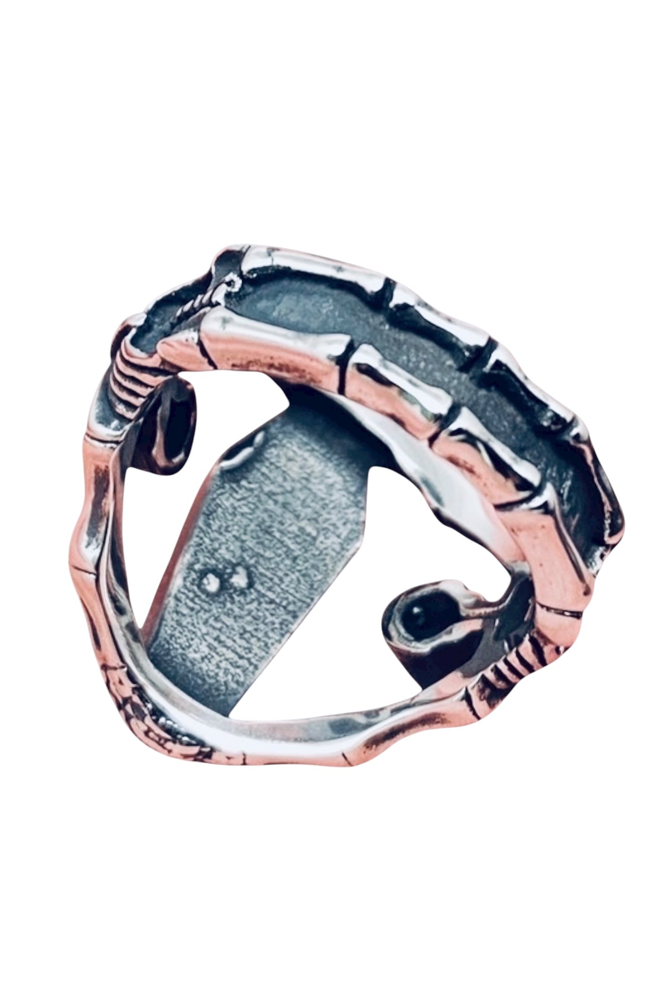 Vampire Coffin Gothic Stainless Steel Ring