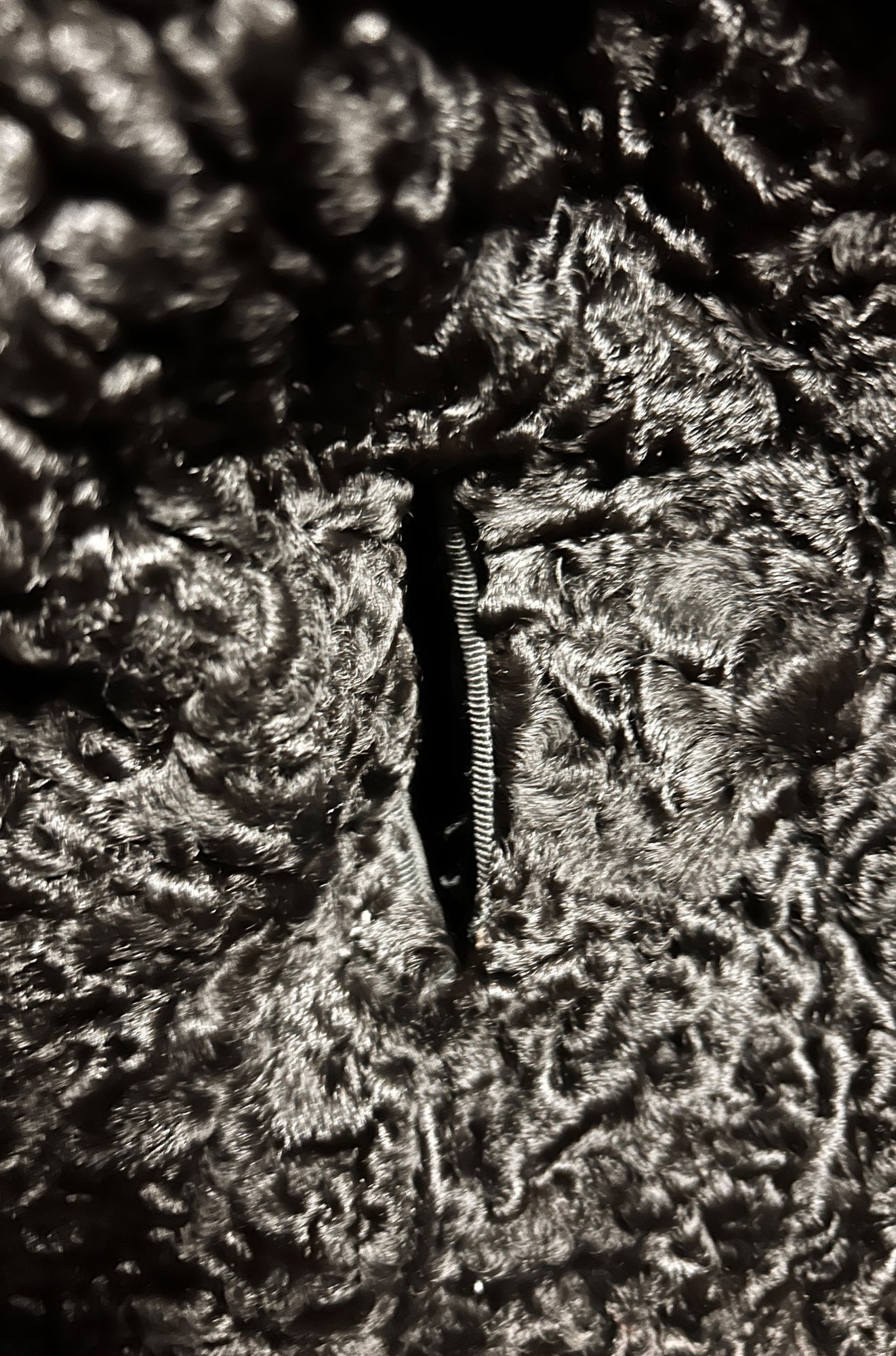 Vintage Flemington Furs Lamb Wool Coat