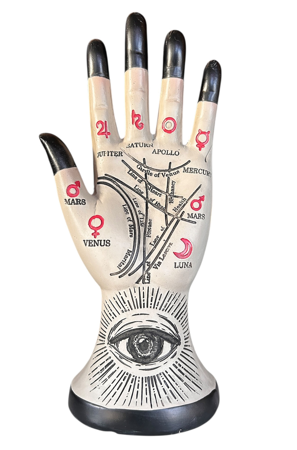 Palmistry Hand