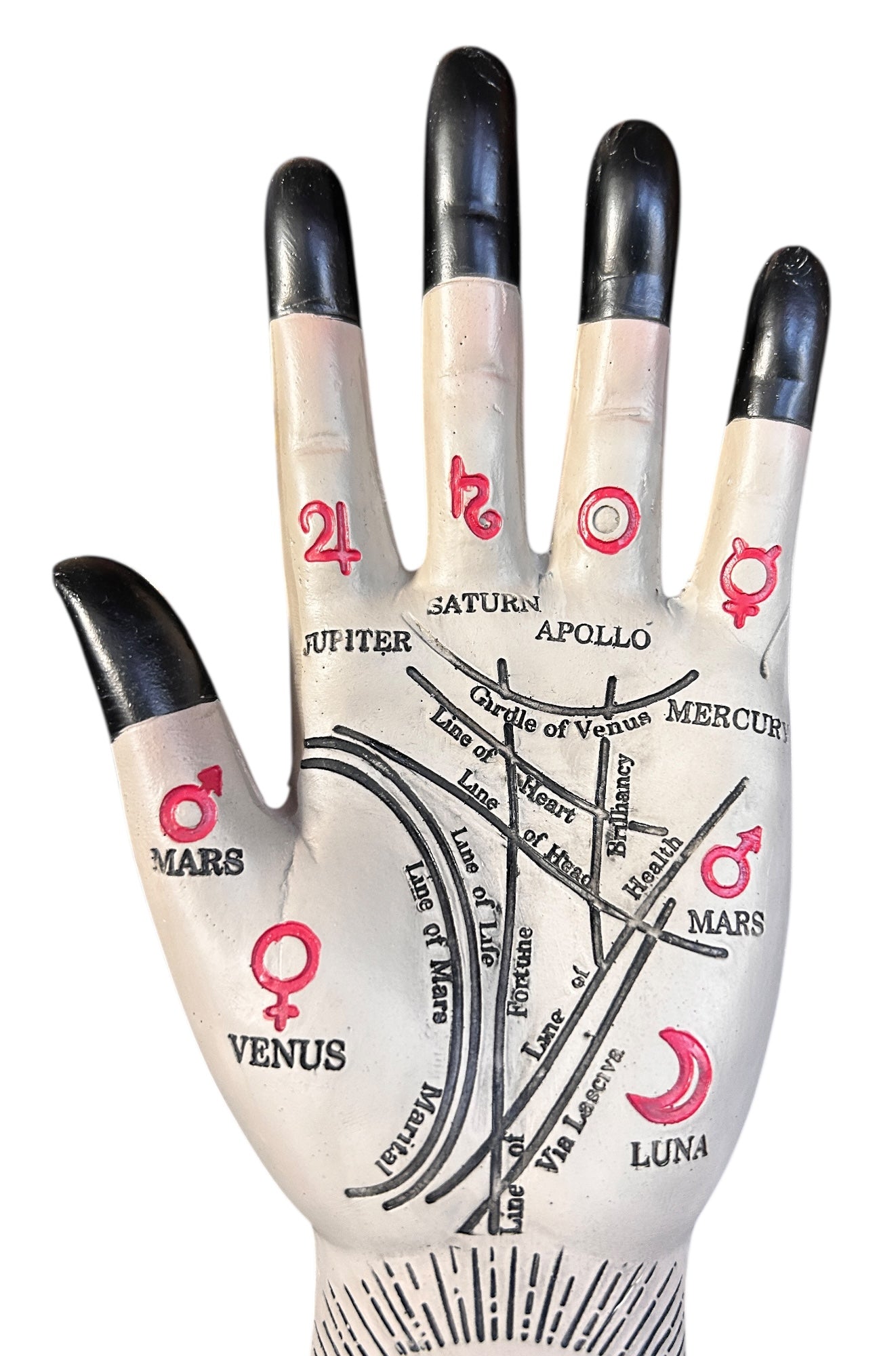Palmistry Hand